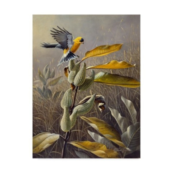 Trademark Fine Art Wilhelm Goebel 'Meadow Gold' Canvas Art, 35x47 ALI33857-C3547GG